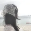 roxyscodes