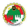koperasi merah-putih