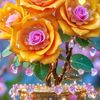 ashfaq03258587560tiktok0