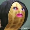 Bungulator