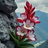 pht.php.nhim.mu7111