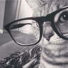 catt_loverss5