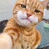 tiktok_new_fyp