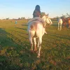 alma_jacquelin