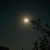 mruo_m14