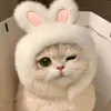 kitty Cat