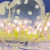 bowling_2020