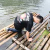 l.phi.phai75