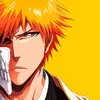 ichigokurosaki0591
