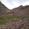 dib_lmon3azil