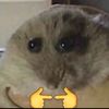 soy_sofia_707