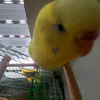alinadelic3
