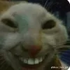pubgrex1