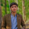 syedahmed56182