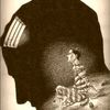 مغامرات الوطية