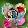user99116873942553