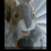 nutzo_lot