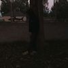 pro.panda4