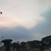 nay_2820133