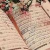user9616114166250