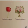 akmaral.sharapiev
