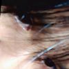 pwint.phoo.mon5