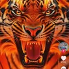 user9947307698481