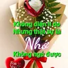 luongthuy9689