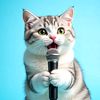 pawsand.laughsuk