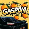 apos.gaspom08