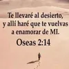 user1328361843276