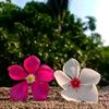 rs.nayeem.2