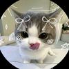 mishty.apu