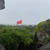 tn_ag67