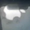 katwalk1111ddddddaas0