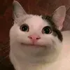 mugomugomugomugomugo