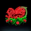 PATRIOTICUS.CO.UK