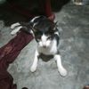 user5760965180144