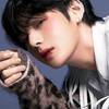 user9558119171152