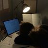 janellestudies