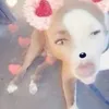 hiii.41.51
