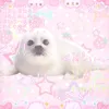 antuu0974