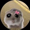 lyli_fr
