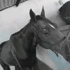 pedro.virtor2