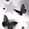 rara_s50