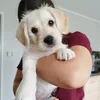 mollytheminilab