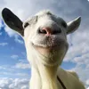 mrgoatboi