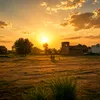 numankhokhar1318