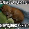 zi_zzz_2