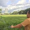 shairelmin08